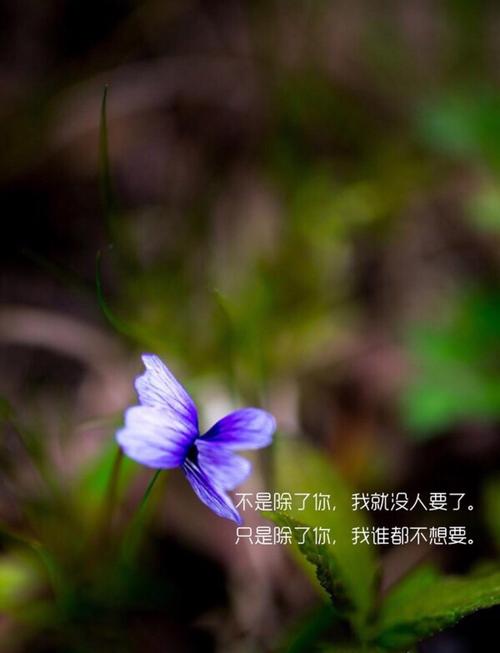 只是我不要你以外的任何人