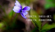 只是除了你，我谁都不想要