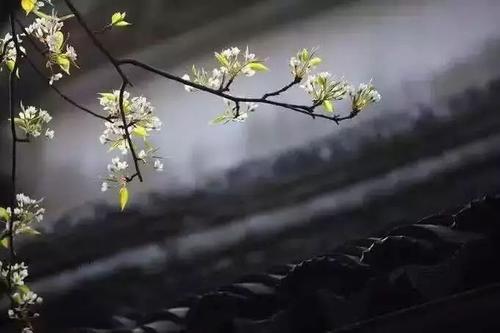 阅读后的幸福生活