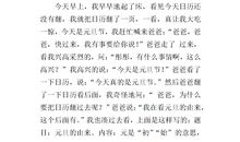 元旦晚会作文700字