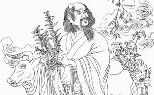 神农百草的味道