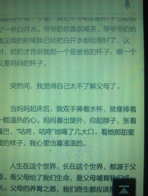 以发现为主题的作品