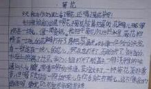 小学作文菊花