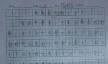 我最喜欢的一本书100字作文
