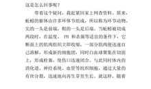 三年级作文发现