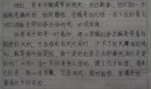 文章读后感范文