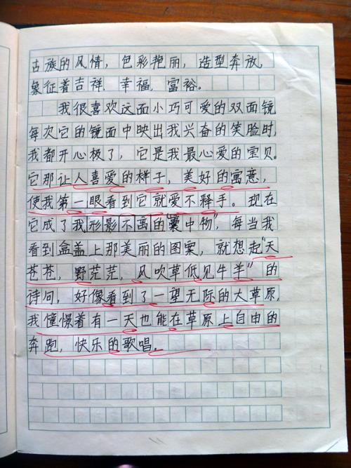 元旦晚会作文600字