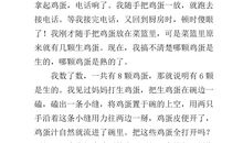 作文有趣的发现