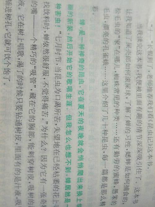 观察错误的组成