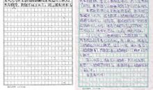 小鸟历险记作文