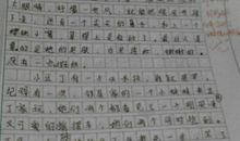 五年级下册语文第五单元作文