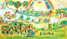 青蛙历险记作文