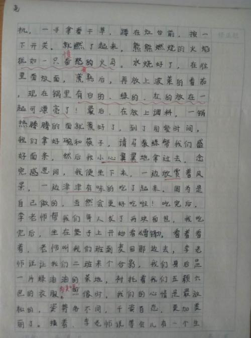 野餐成分500字