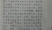 野炊作文500字