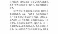 顶碗少年读后感300字