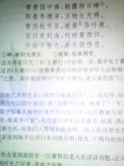 宝藏时间构成600字