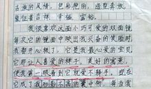 元旦晚会作文800字