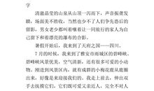 暑假经历作文600字