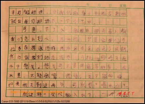 学会游泳作文800字