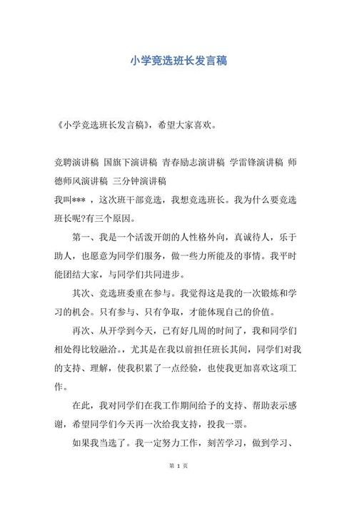 小学选举监督员讲话