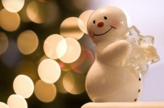 经典句：乐于助人，做舒适的事情