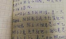 一句话的奇迹读后感