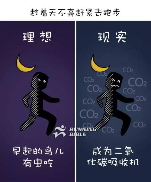 理想是最接近现实的事物