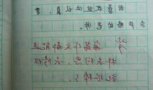 三年级传统文化作文