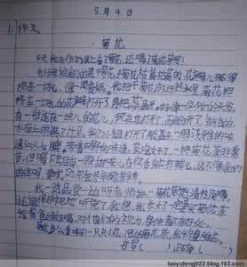 小学三年级上菊花