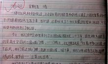 珍惜水作文200字