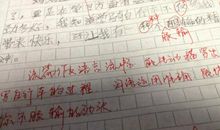 学自行车作文200字