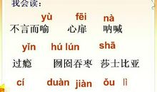 落花生课文读后感