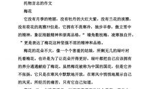 托物言志的作文300字