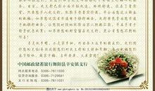 写给孩子们的一封励志信