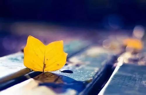 痛苦是生活中的一种智慧