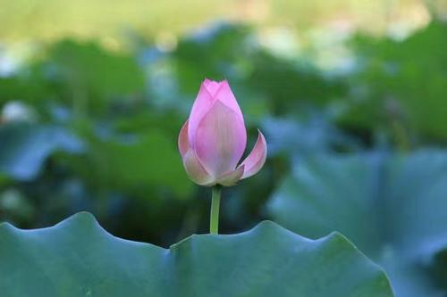 做一个善良的人的基本要素