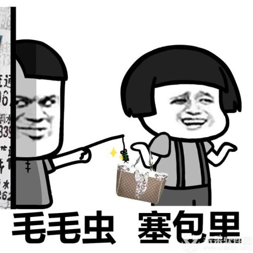 诚实的人看完书后的感受