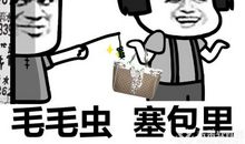 老实人读后感