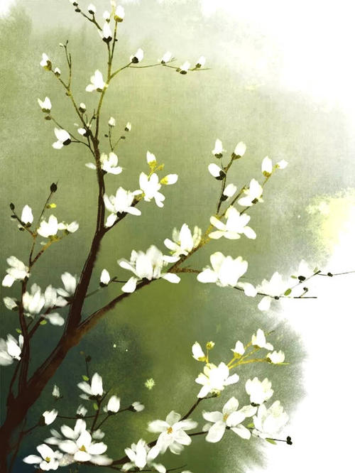 经典句：只怕老旧的心，不怕漫长的路