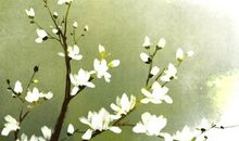 经典语句：只怕心老，不怕路长