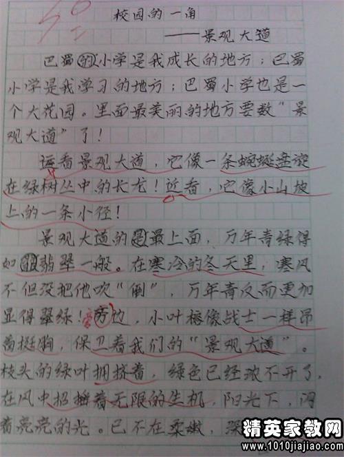 照顾他人四年级的作文