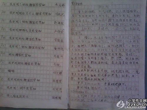 偷偷玩电脑作文500字