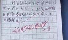 假如我是一名警察作文