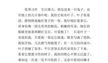 小事情大道理作文