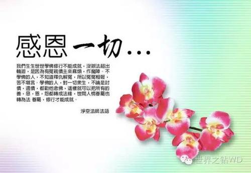 我懂了400个感激之词