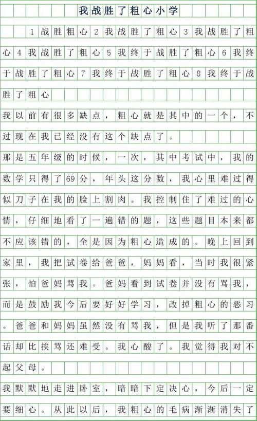 粗心的我作文500字