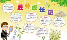 植物成长观察日记