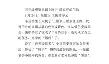 植物观察日记300字