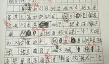 今天我当家的作文