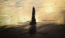 是你让我懂得了坚强